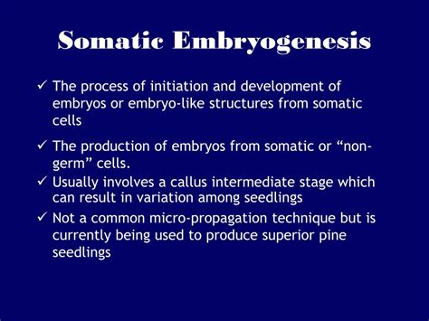 PPT - Plant Tissue Culture PowerPoint Presentation - ID:346170