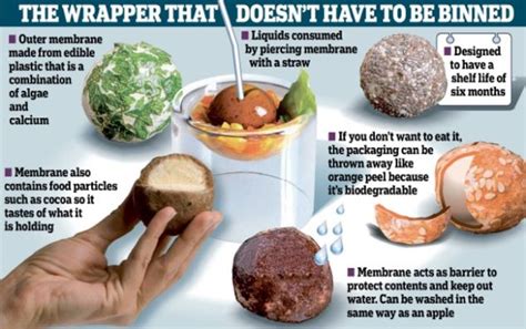 Edible Food Packaging Could Cut Down On Plastic Waste | GIANT FREAKIN ROBOT