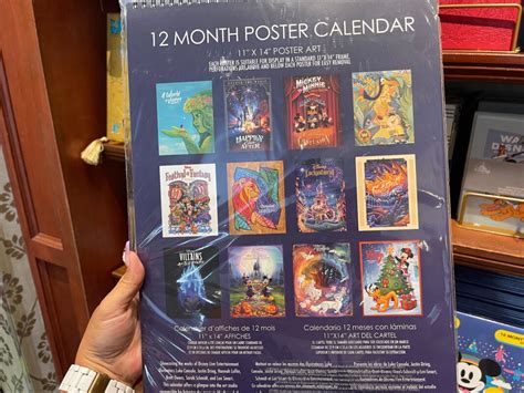 Disneyland Paris Calendario 2024 - Hilde Laryssa