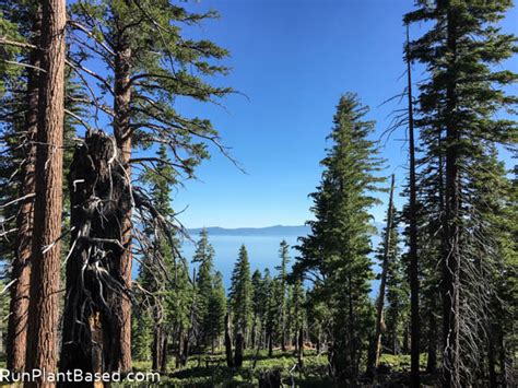 South Lake Tahoe Camping — Run Plant Based