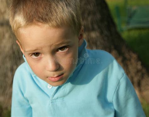 Boy with Guilty Look stock image. Image of brow, white - 6023235