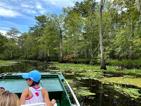 Swamp & Plantation Tour | $175 Per Person | NOLA Adventures