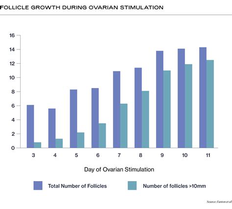 IVF Follicle Sizes and Growth Chart