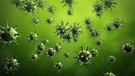 Virus Under A Microscope - Stock Motion Graphics | Motion Array