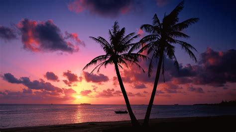 Tropical Sunset | Beach sunset wallpaper, Sunset wallpaper, Sunset images