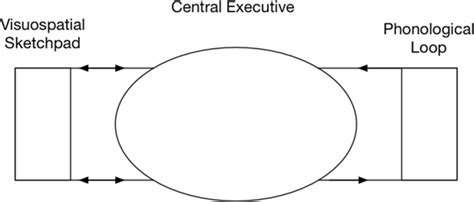 Diagram based on Baddeley and Hitch’s working memory model (Baddeley... | Download Scientific ...