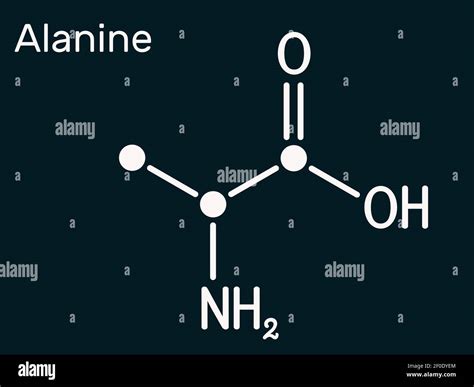 Alanine, L-alanine, Ala, A molecule. It is non-essential amino acid ...