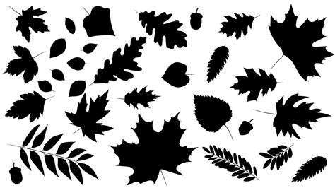 Autumn Leaves Silhouette Vector Art, Icons, and Graphics for Free Download