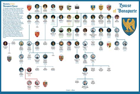 House of Bonaparte - Family Tree : r/UsefulCharts