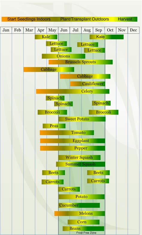 Zone 7 Planting Schedule - Plant Ideas