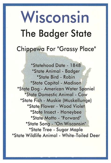 Wisconsin Facts postcard — Later Gator | Wisconsin facts, Milwaukee wisconsin, Exploring wisconsin