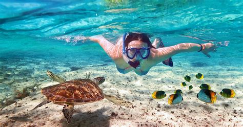 Cancun - Snorkel Adventure 6n1 Tour for only $65 USD