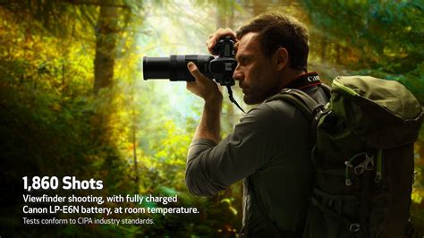 Best Cameras for Wildlife Photography in 2021