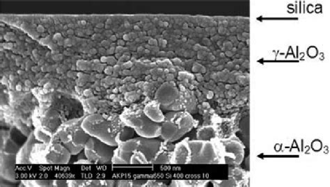 Typical microstructure of ceramic membrane. | Download Scientific Diagram