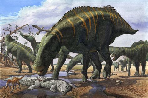 Shantungosaurus by atrox1 on deviantART | Prehistoric animals, Dinosaur pictures, Prehistoric ...