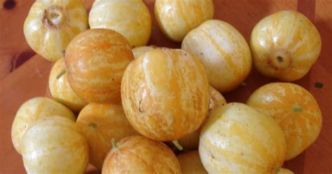 Blue Starr Gallery: Lemon Cucumber Harvest