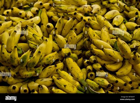 Banana bunches hi-res stock photography and images - Alamy