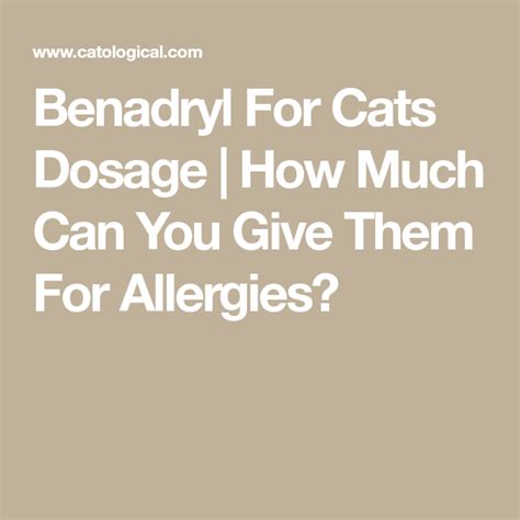 Benadryl For Cats Dosage | How Much Can You Give Them For Allergies? | Benadryl for cats, Cat ...