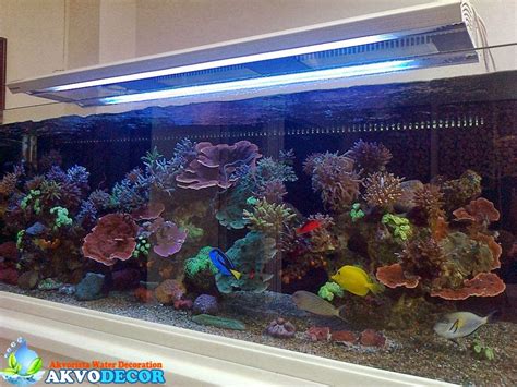 Aquarium air laut ~ Blog Akvodecor.com