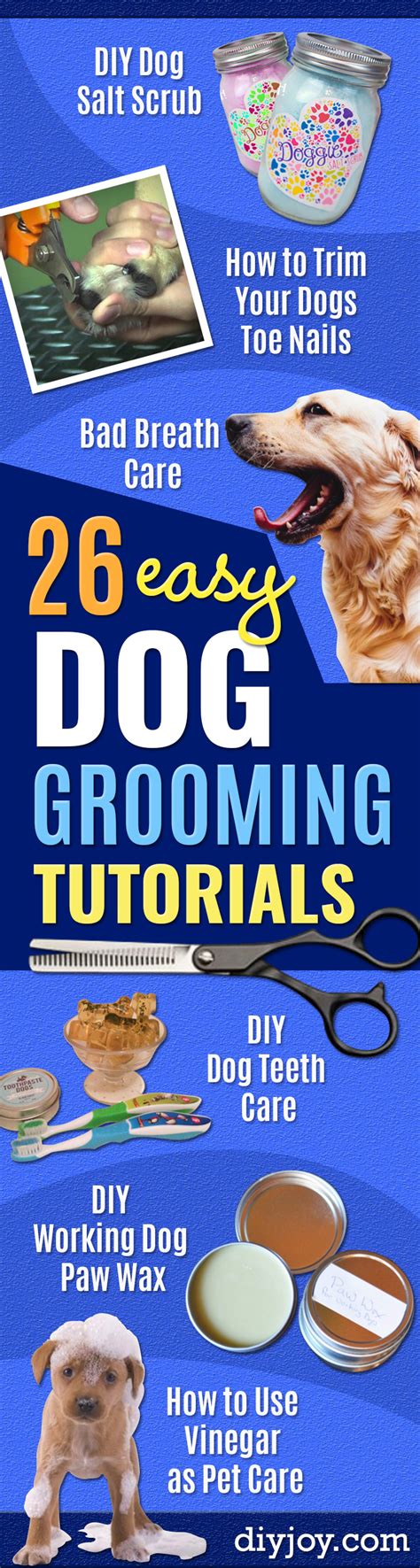 26 MUST SEE Dog Grooming Tutorials - DIY Joy