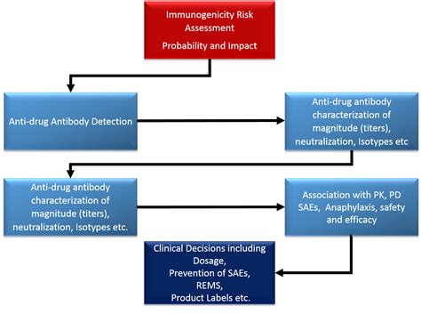 Immunogenicity Testing Assay Validations: Regulatory Perspective and Recommendations