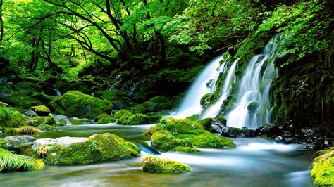 Green Waterfall River Rocks Covered With Green Moss Forest Waterfall Wallpaper Hd High ...