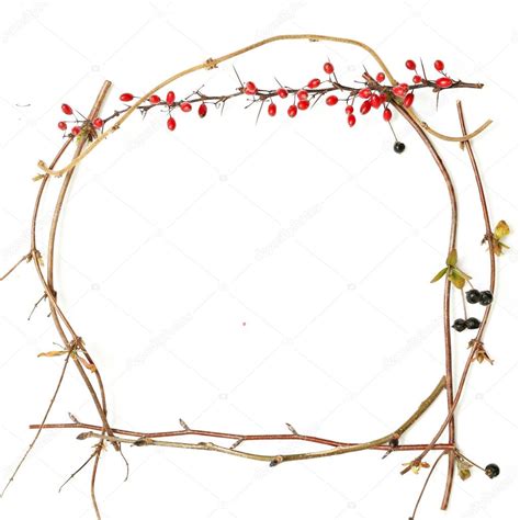 Twig frame — Stock Photo © triocean2011 #62277613