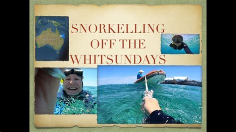 Snorkelling in The Whitsundays Queensland Australia THE GREAT BARRIER ...