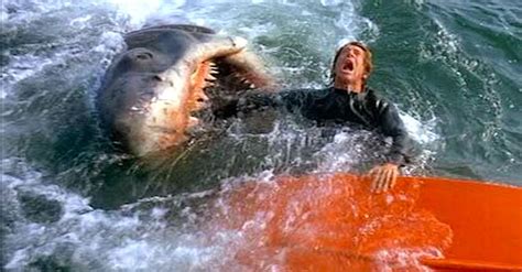 Great White Shark Attack Human