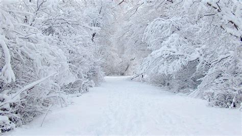 Winter Snow Backgrounds - Wallpaper Cave