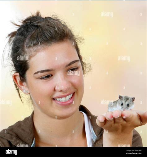 Girl holding Chinese Dwarf Hamster on hand (Cricetulus griseus), Chinese Striped Hamster ...