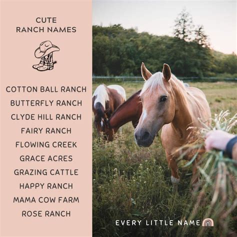 140+ Best Ranch Names (Creative, Cute, and Memorable) - Every Little Name