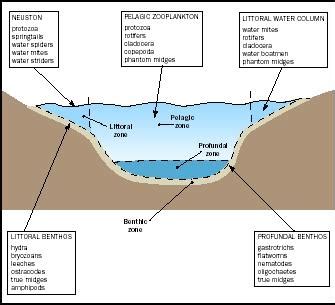 The Lakes: Zones Of The Lakes