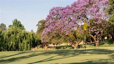 Pretoria Country Club | golfcourse-review.com