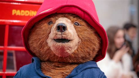 The 10 'Paddington Bear' Quotes That Will Always Inspire Joy