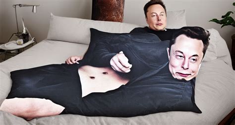 prompthunt: elon musk body pillow