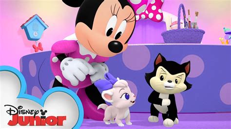 A New Kitty in the House | Minnie's Bow-Toons 🎀 | @disneyjunior - YouTube