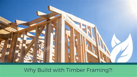 The Advantages of Timber Framing in New Home Construction - Thompson ...