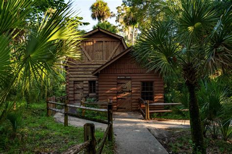 OCALA NATIONAL FOREST: An (Epic) Guide to Florida's Hidden Gem