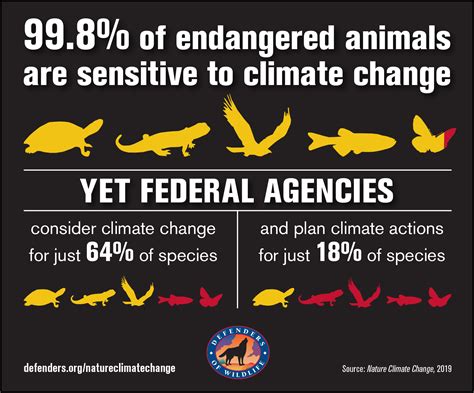 Endangered Species Are Overwhelmingly Threatened by Climate Change | Defenders of Wildlife