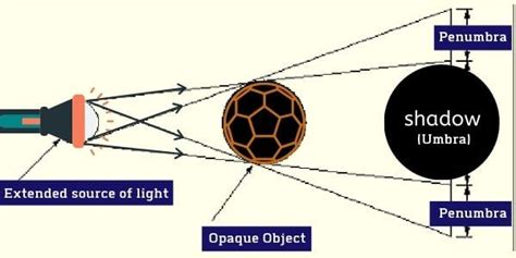 Explained! Shadow Formation - Light & How Shadows Are Formed?