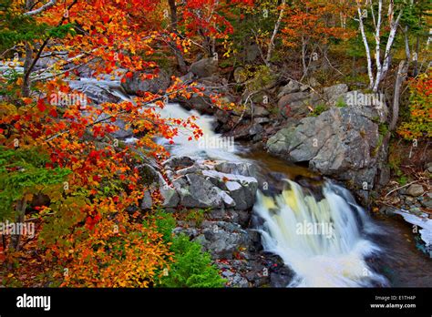 Cape Breton Fall Foliage Canada High Resolution Stock Photography and Images - Alamy