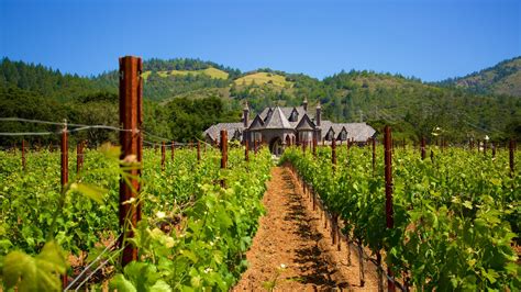 Top 20 Wine Country, US villa rentals | Vrbo