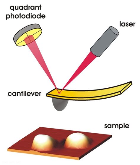 Atomic Force Microscope Cantilever