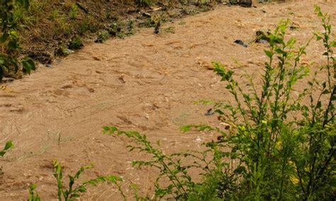 5 Terrifying Flash Floods in Arizona - A-Z Animals