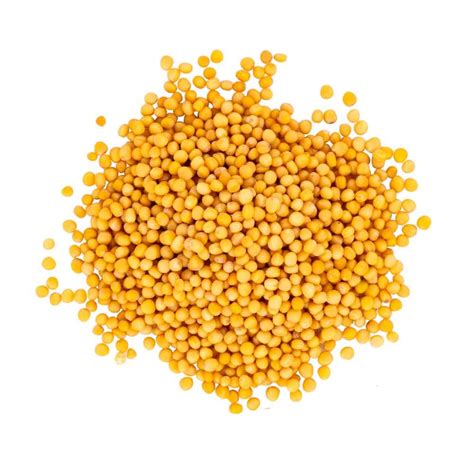 Buy Yellow Mustard Seeds 1 Kg at Best Prices in India