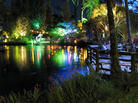 Pukekura Park, New Plymouth, New Zealand. Festival of Lights- Christmas in the summer. | Foreign ...