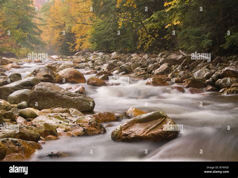 Roaring Branch Stream, Green Mountain National Forest, Vermont Stock Photo - Alamy