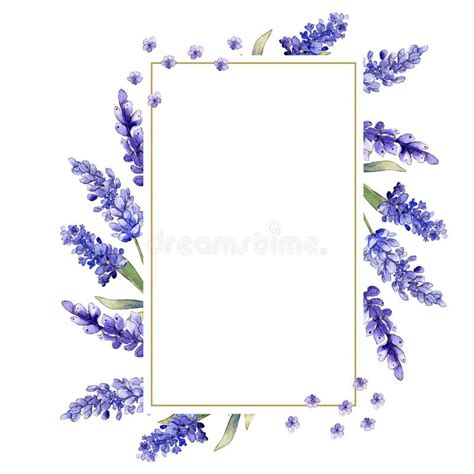 Lavender Flower Border Design