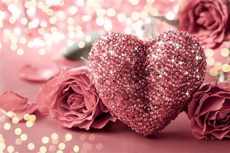 Fonds d'ecran Saint-Valentin Roses En gros plan Cœur Rose couleur Fleurs télécharger photo
